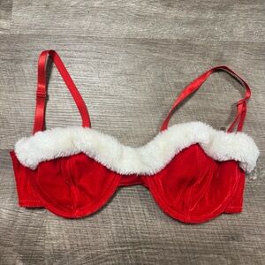 Jolie Intimates Santa Claus Bra Size 34C